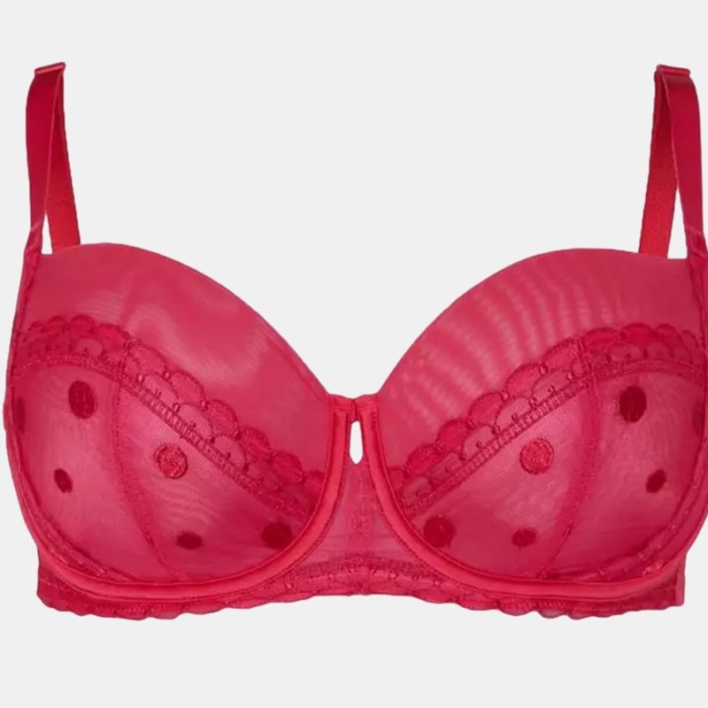 Gorgeous Womens/ladies Spotted Embroidered Bra In Pink