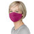 Adult Non-Medical Mask With Filter - 12 Mask - Pink