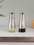 8.5 oz. Oil and Vinegar Set with See-Through Glass Base, Silver
