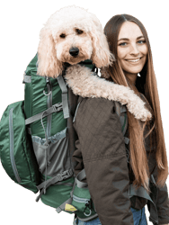 Rover 2 | Big Dog Carrier & Backpacking Pack - Myrtle Green