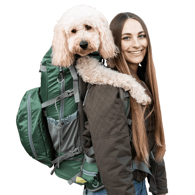Rover 2 | Big Dog Carrier & Backpacking Pack - Myrtle Green