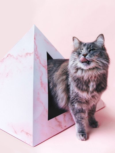 Kitty Kardboard Cardboard Cat Pyramid product