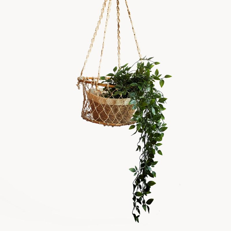 Korissa Jhuri Single Hanging Basket In Brown