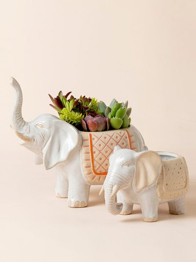 La Jolie Muse Tuskersthai White Elephant Pots - 8.6 + 5.9 Inch product