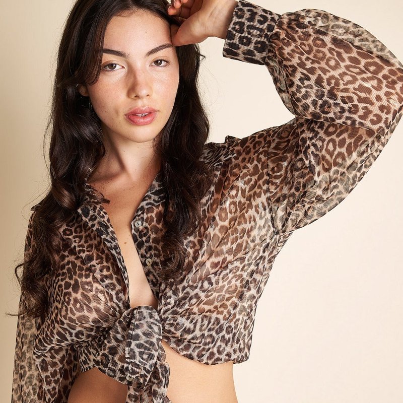 Lace Sheer Leopard Shorts M4296 In Brown