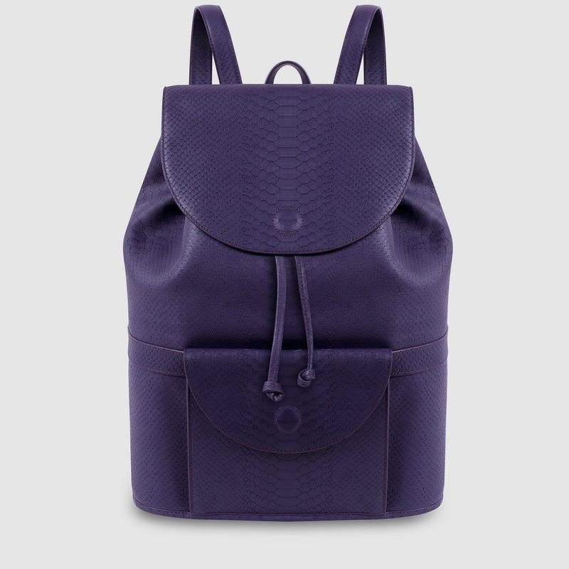 Latitu° Royal Purple Praha Backpack