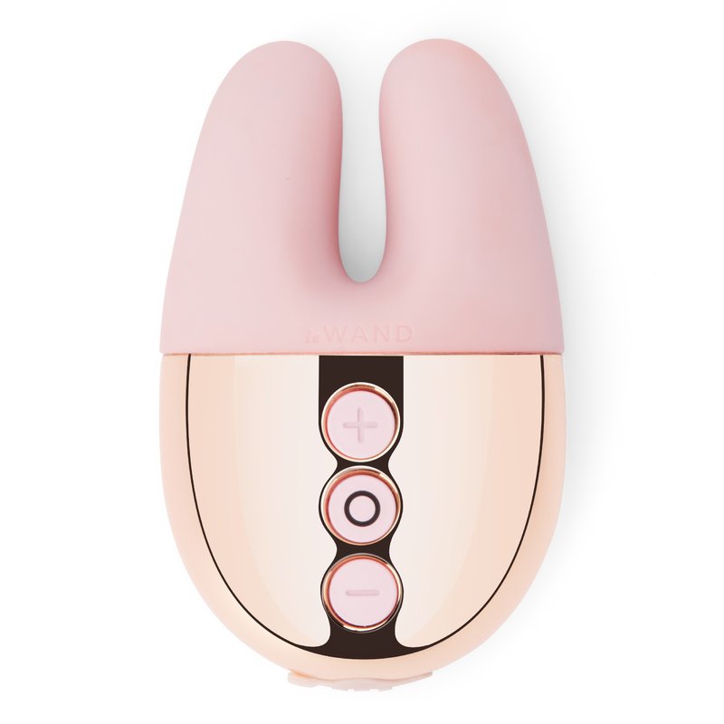 Le Wand Double Vibe Vibrator In Pink