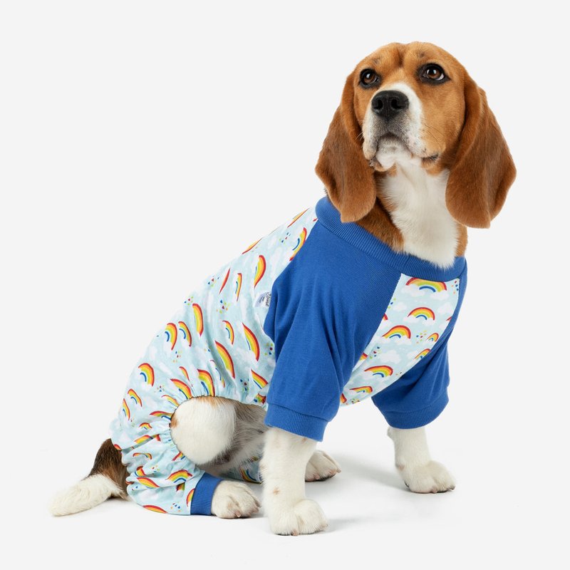 Leveret Dog Blue Rainbow Pajamas