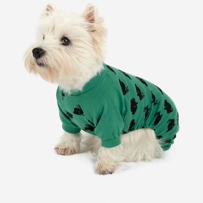 Leveret Dog Bunny Pajamas In Green