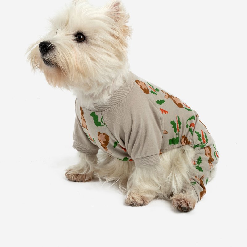 Leveret Dog Bunny Pajamas In Brown