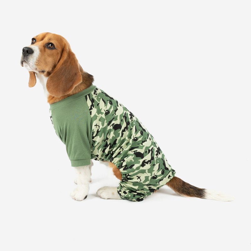 Leveret Dog Camouflage Print Pajamas In Green