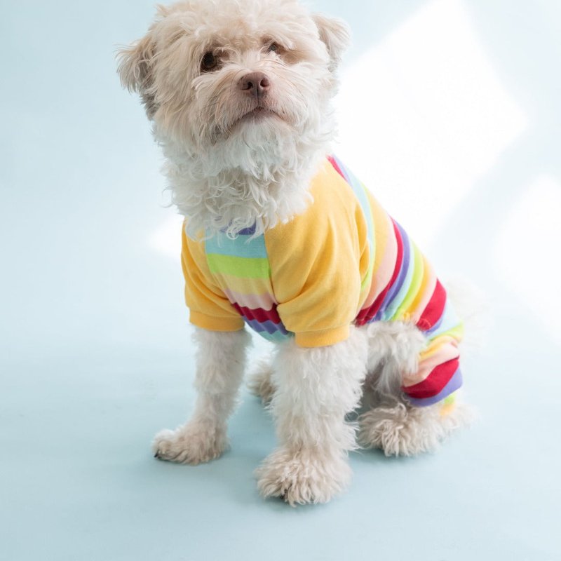 Leveret Dog Cotton Rainbow Girl Stripes Pajamas In Multi