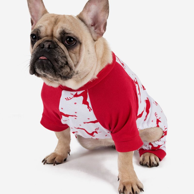 Shop Leveret Dog Cotton Reindeer Pajamas In Red