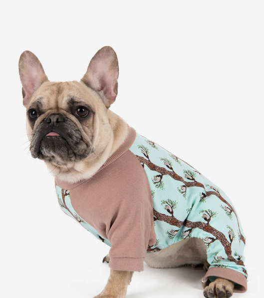 Shop Leveret Dog Cow Pajamas In Green