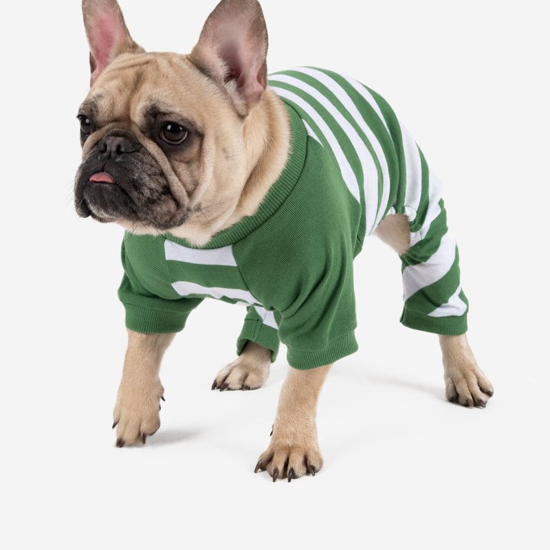 Leveret Dog Green & White Stripes Pajamas