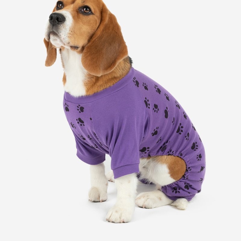 Shop Leveret Dog Purple Paw Print Pajamas