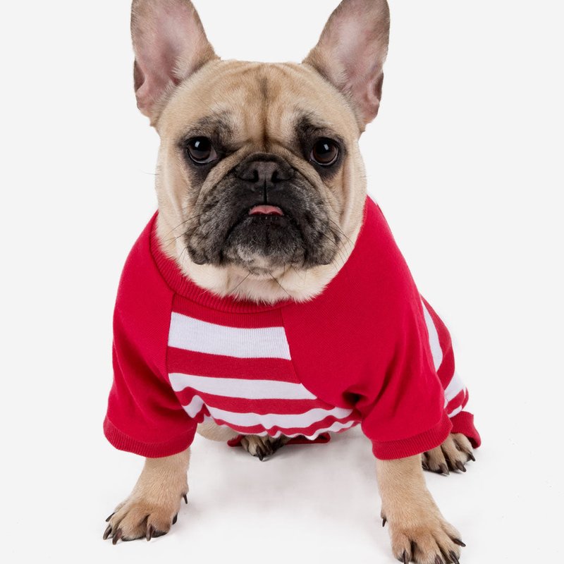 Leveret Dog Red & White Stripes Cotton Pajamas