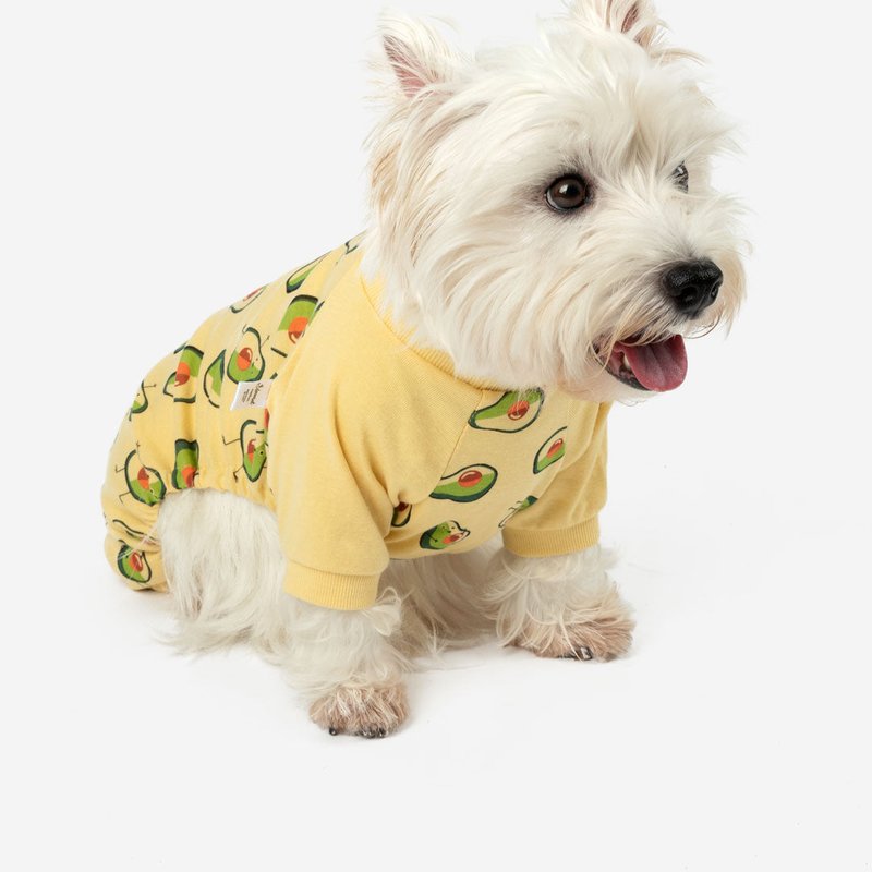 Shop Leveret Dog's Avocado Pajamas In Yellow