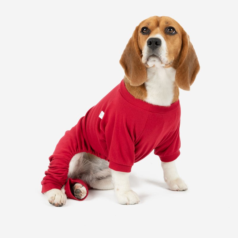 Leveret Dogs Solid Color Red Pajamas