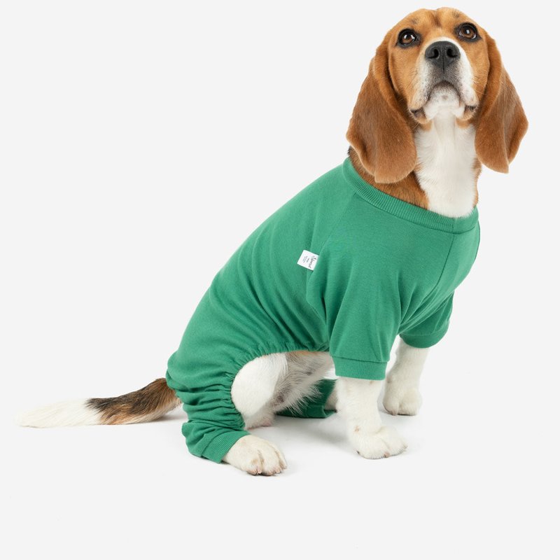 Leveret Dogs Solid Classic Color Pajamas In Green