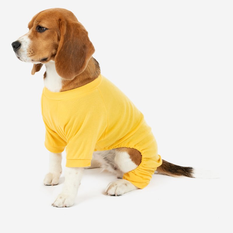 Leveret Dogs Solid Classic Color Pajamas In Yellow