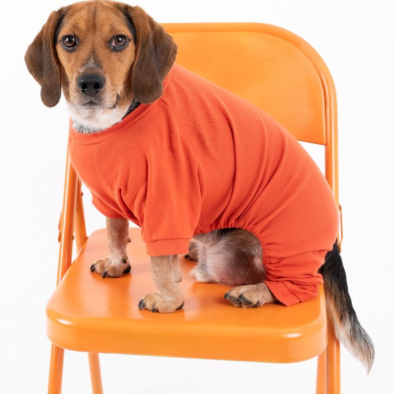 Leveret Dogs Solid Classic Color Pajamas In Orange