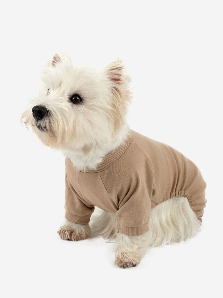 Dogs Solid Color Beige Pajamas - Beige