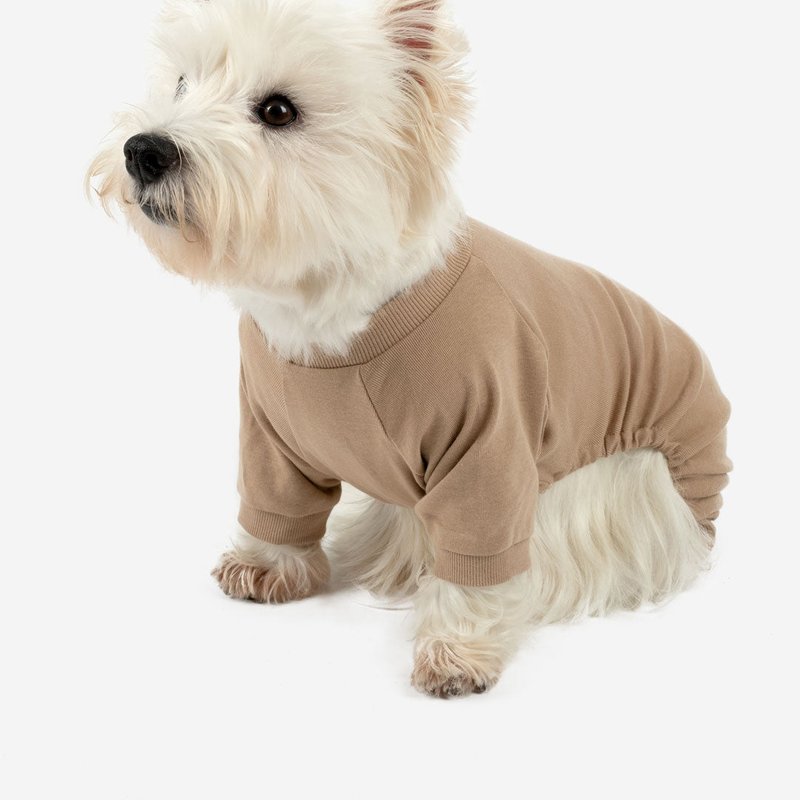 Leveret Dogs Solid Color Beige Pajamas In Brown