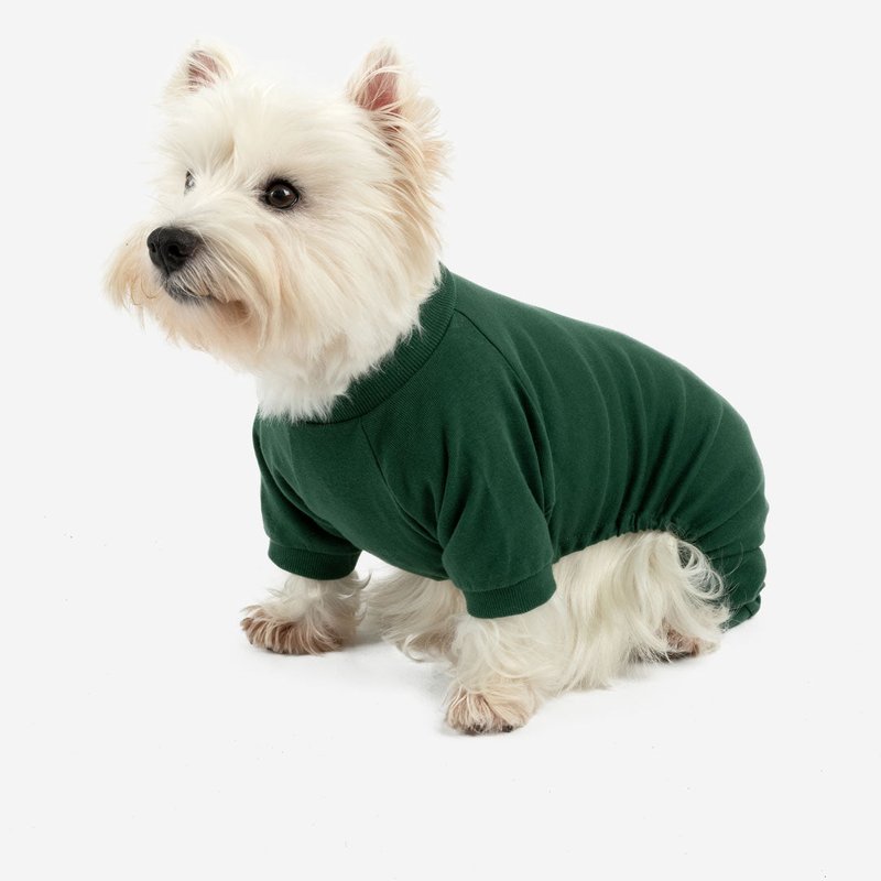 Leveret Dogs Solid Color Dark Green Pajamas