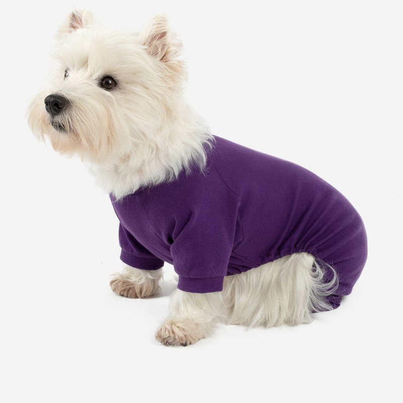 Leveret Dogs Solid Color Dark Purple Pajamas