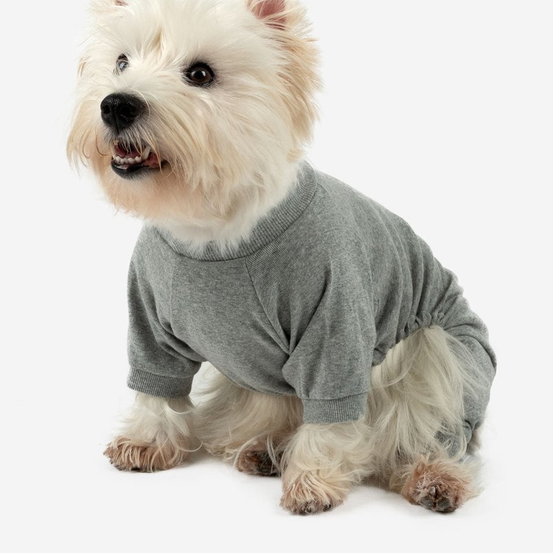 Shop Leveret Dogs Solid Color Light Grey Pajamas