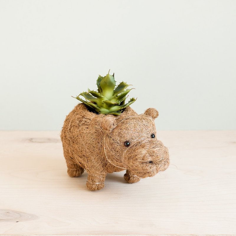 Likha Baby Hippo Plant Pot In Brown
