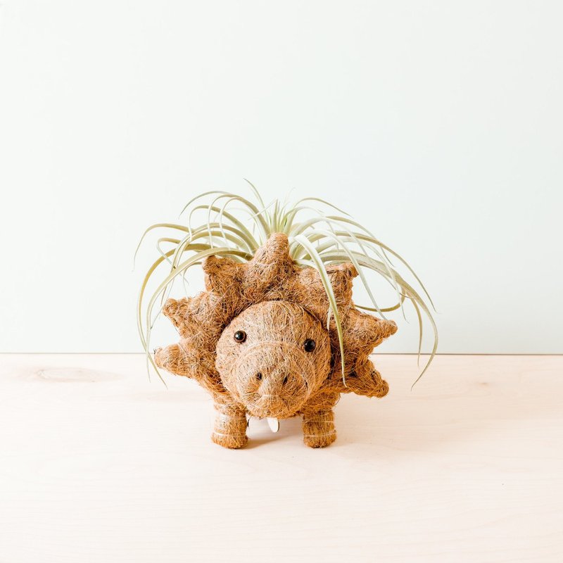 Likha Triceratops Planter In Brown