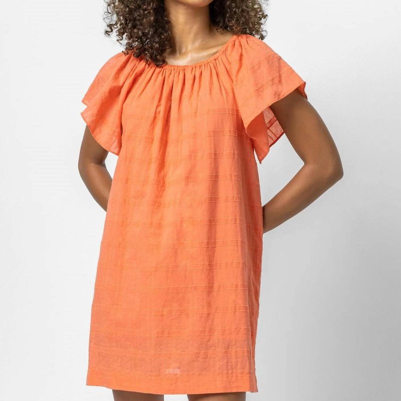 Shop Lilla P Flutter Sleeve Raglan Dress In Orange