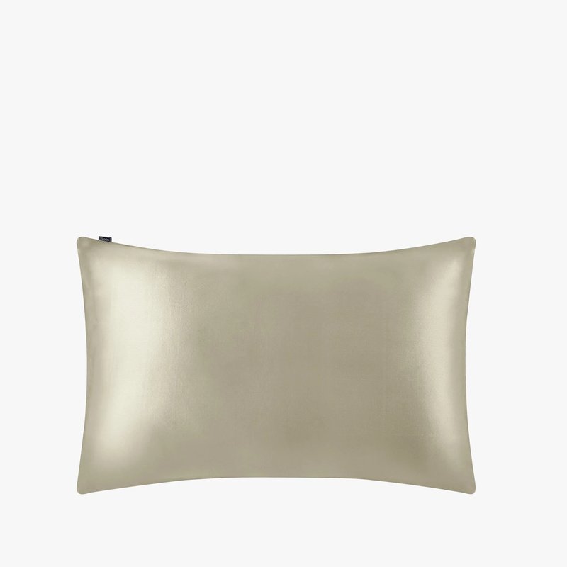 Lilysilk Envelope 100% Mulberry Silk Pillowcase In Grey