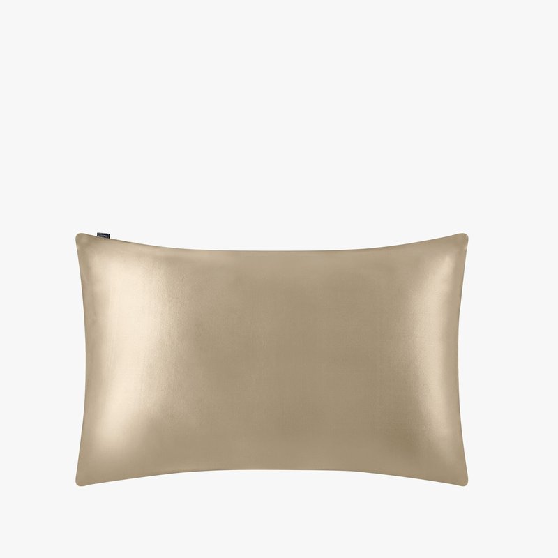 Lilysilk Envelope 100% Mulberry Silk Pillowcase In Brown