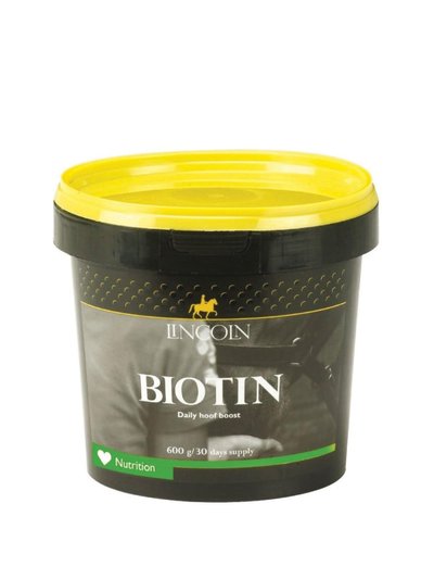 Lincoln Lincoln Biotin Supplement (May Vary) (21.2oz) product