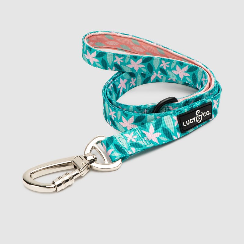 Lucy And Co Lucy & Co. The Dilly Lily Leash In Blue