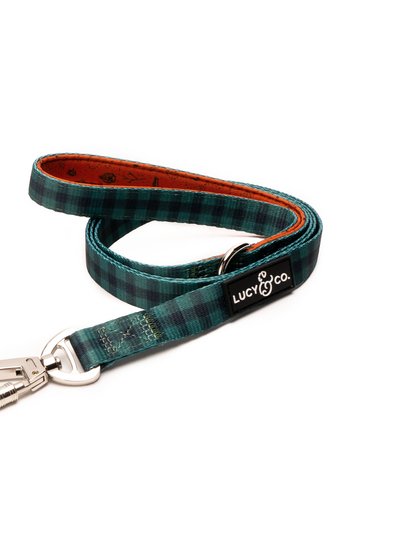 Lucy & Co. The Let's Adventure Leash product