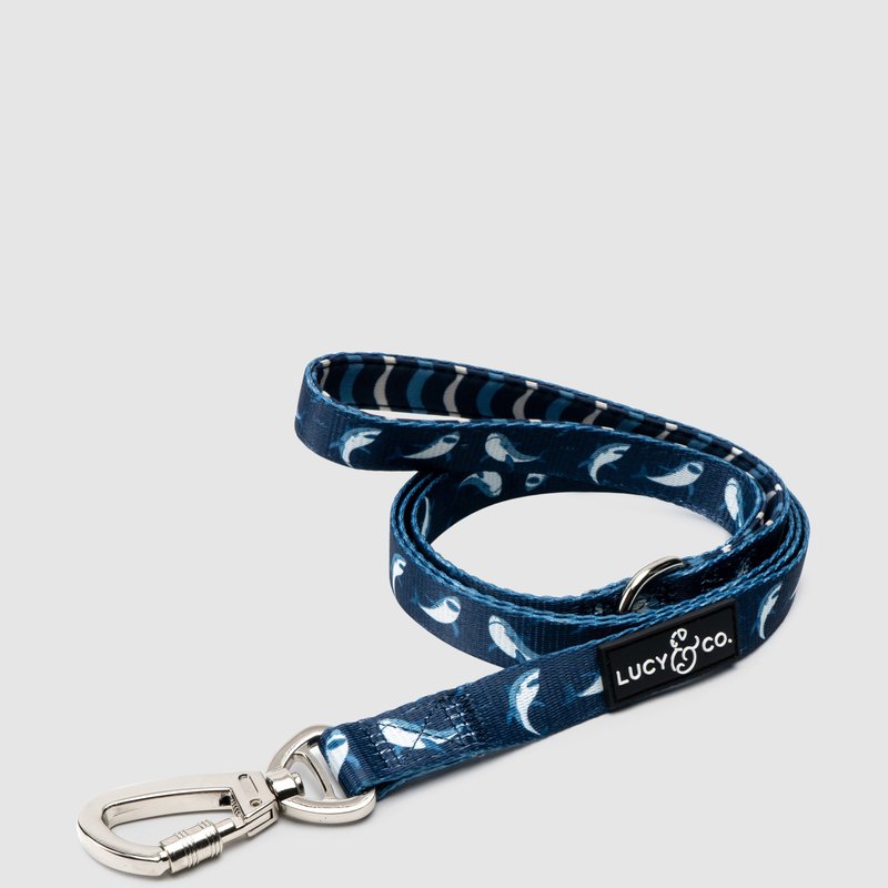 Lucy And Co Lucy & Co. The Shark Attack Leash In Blue