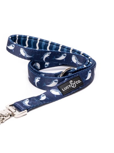 Lucy & Co. The Shark Attack Leash product