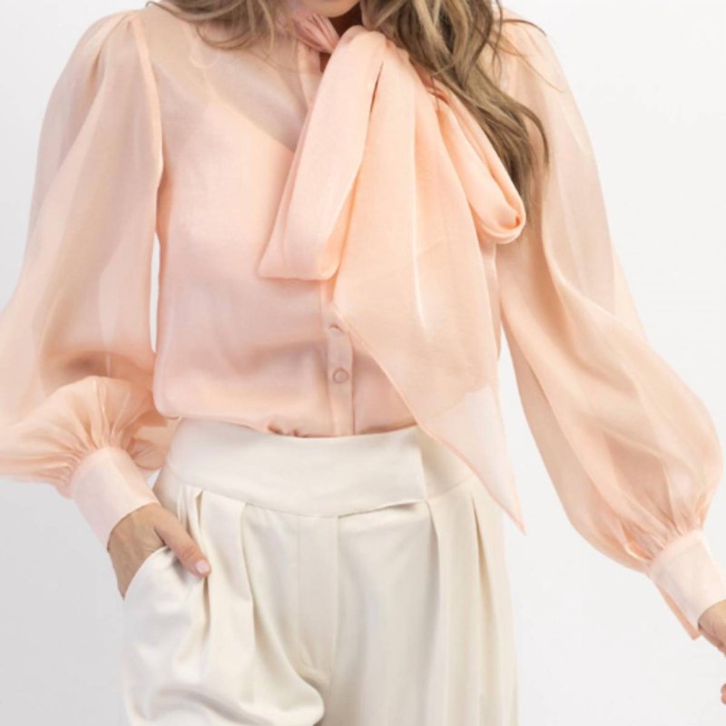Shop Mable Bisous Organza Bow Blouse In Pink
