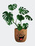 Happy Face Plant Vase