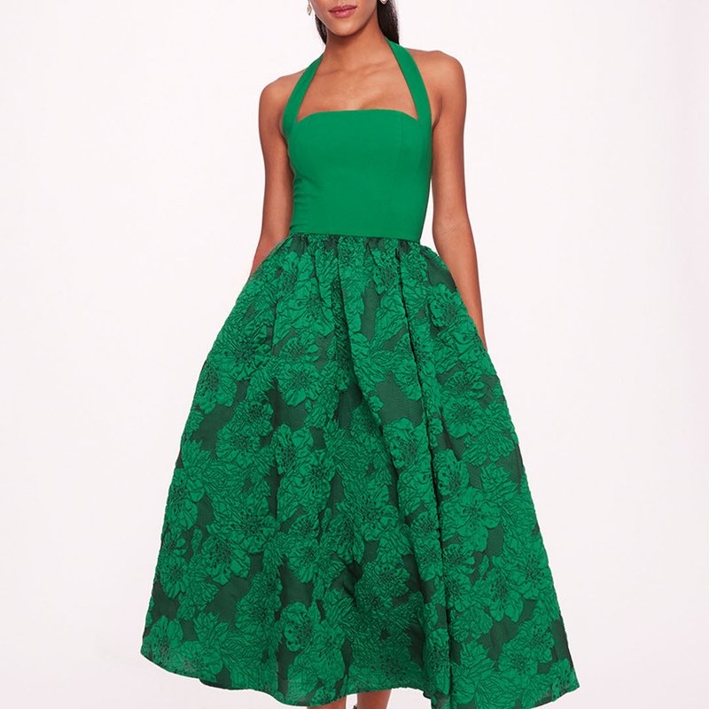 Shop Marchesa Notte Calathea Halter Dress In Green