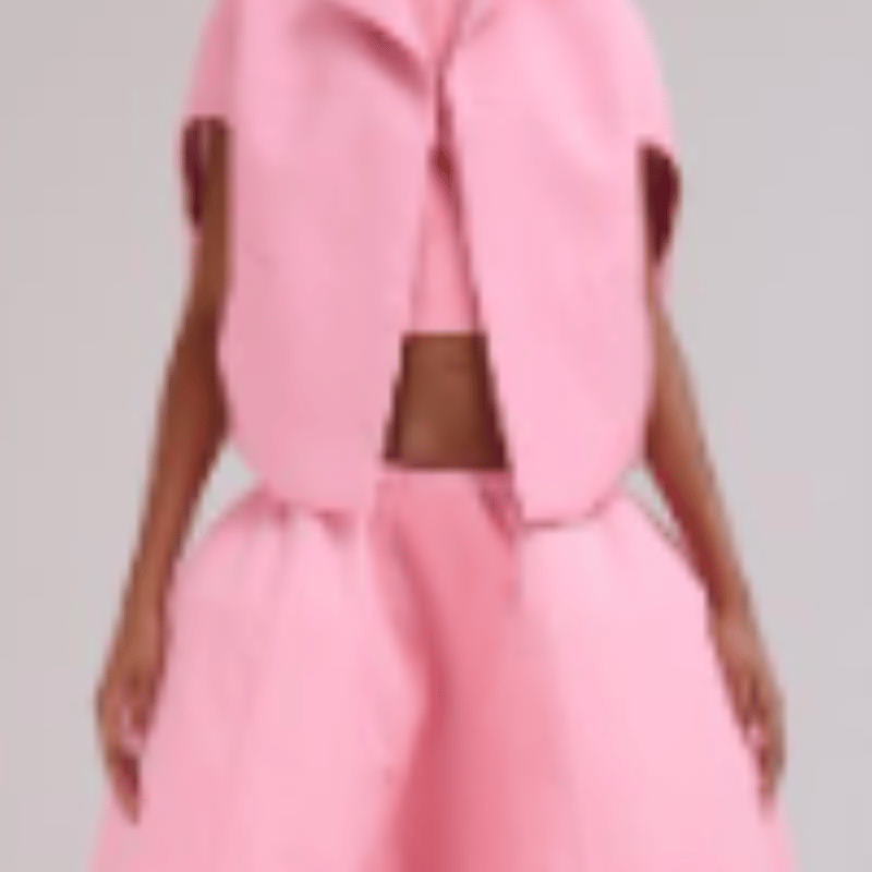 Shop Marni Small Cocoon Vest In Pink