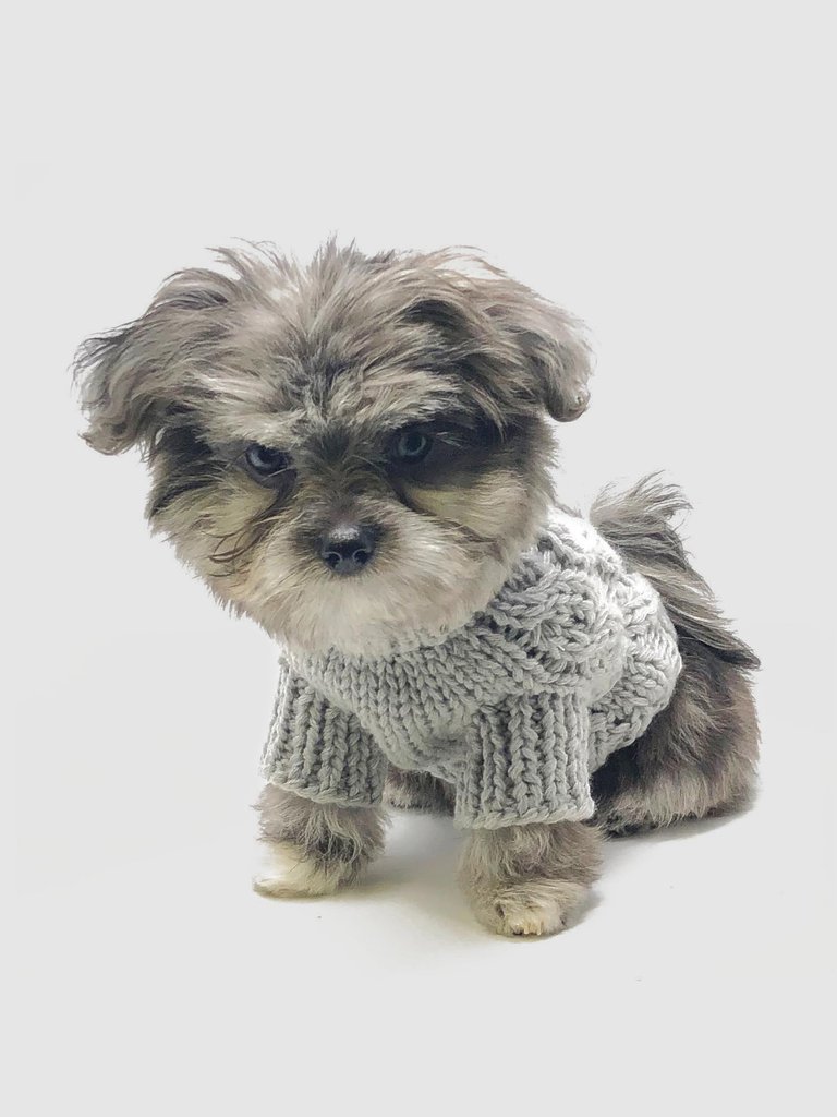 Mia Cable Knit Dog Sweater - Grey - Grey