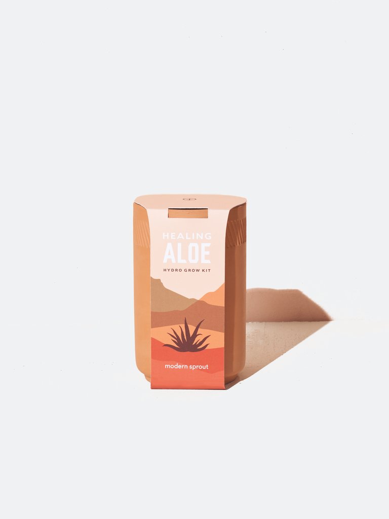 Healing Aloe Terracotta Grow Kit - Terracotta