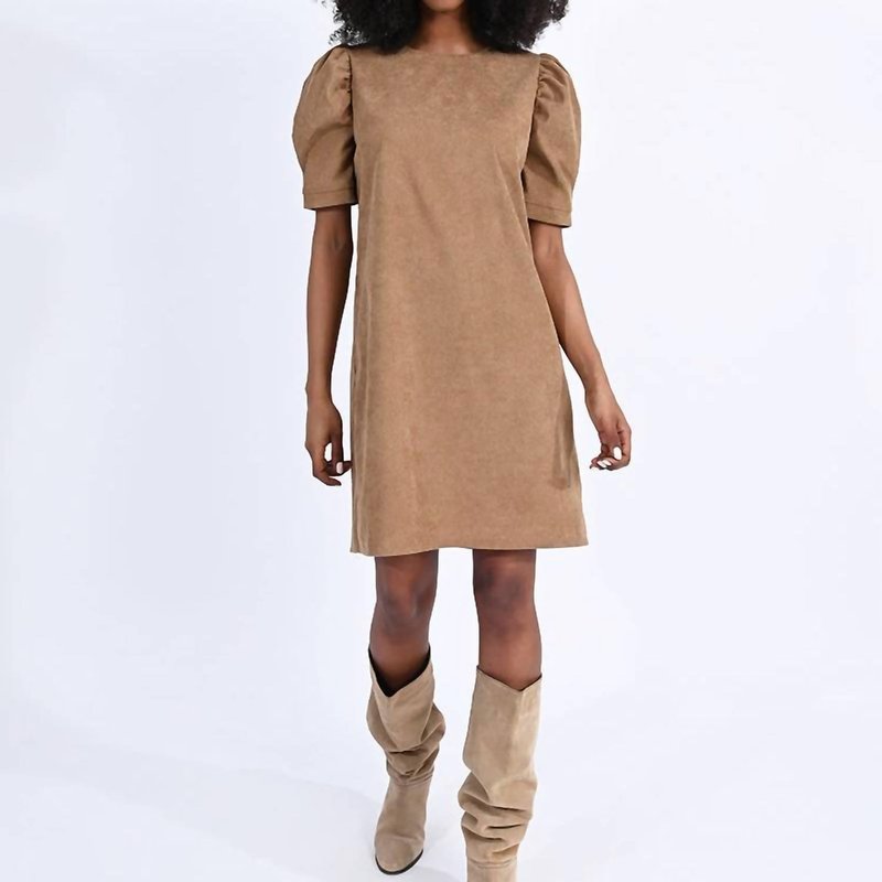 Shop Molly Bracken Mini Suede Dress In Brown