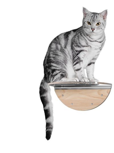 MyZoo Wall Mounted Cat Shelves With Transparent Board - Round Lack Clear product