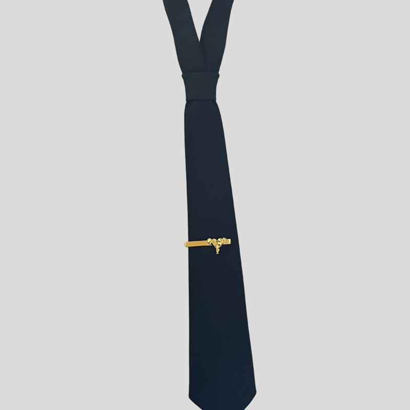 Nandanie Tailored Black Classic Necktie + Tie Bar
